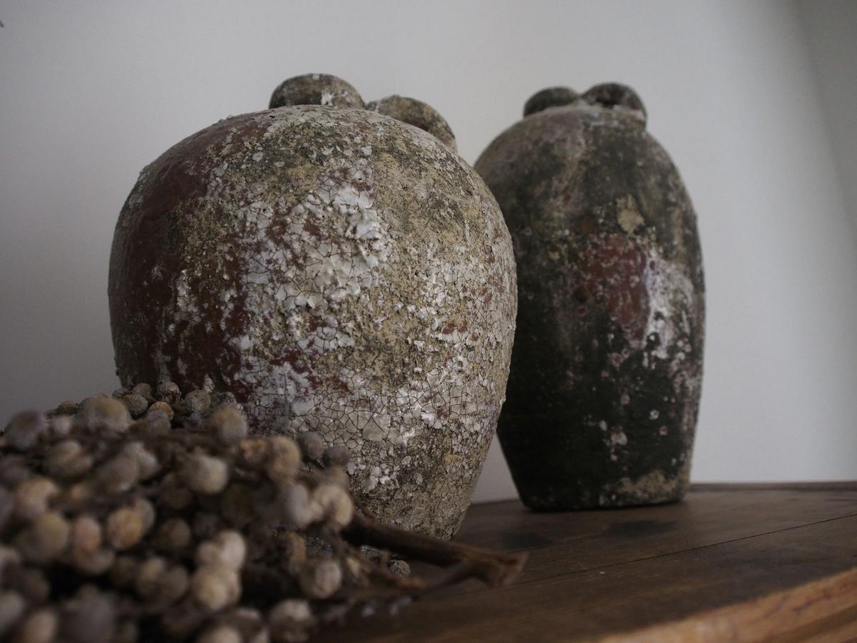 De Stadsboerderij 坎彭 外观 照片